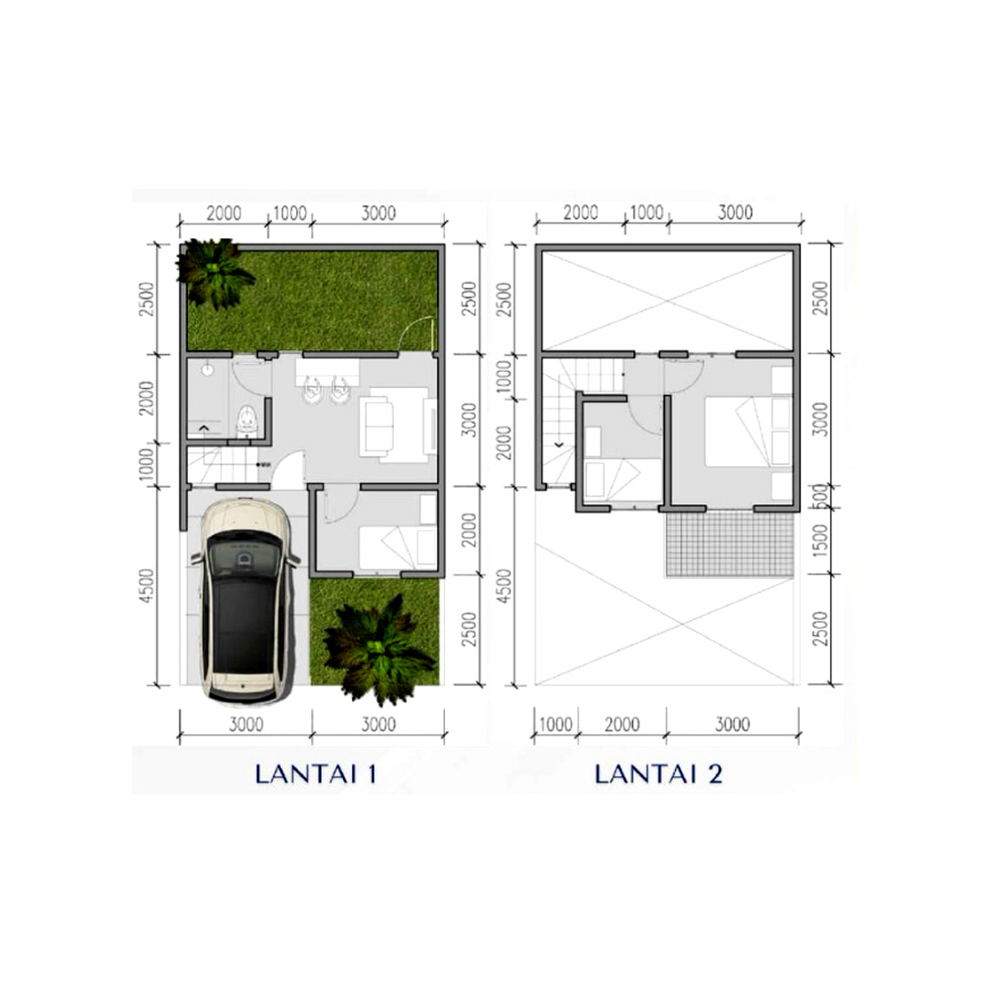 Layout Cataleya